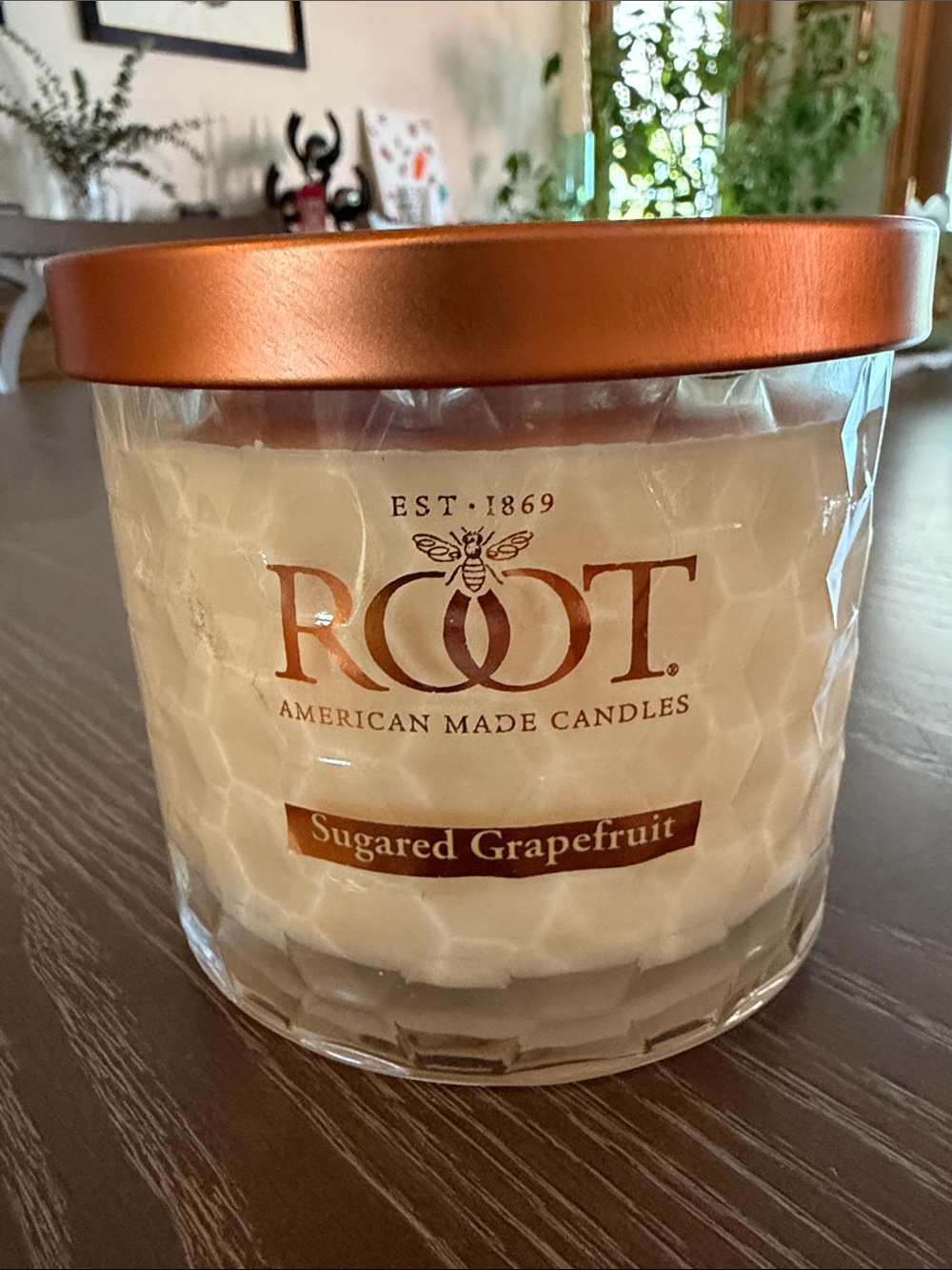 ROOT Sugared Grapefruit Scented Candle - White with Copper Lid